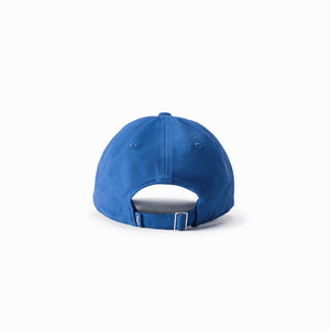 Aritzia 'Sky Blue' Tna Dad Baseball Cap